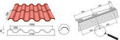 Tegula Maxi